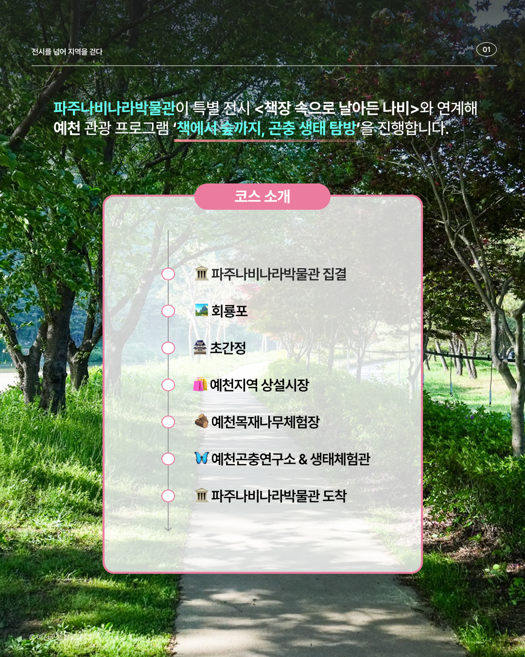 관광_예천2